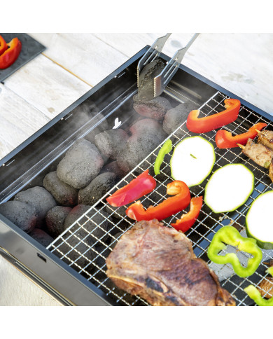 Folding Portable Barbecue for use with Charcoal BearBQ InnovaGoods