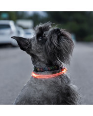 LED Collar for Pets Petlux InnovaGoods