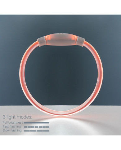 LED Collar for Pets Petlux InnovaGoods
