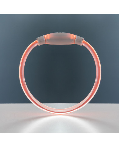 LED Collar for Pets Petlux InnovaGoods