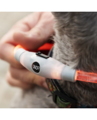 LED Collar for Pets Petlux InnovaGoods