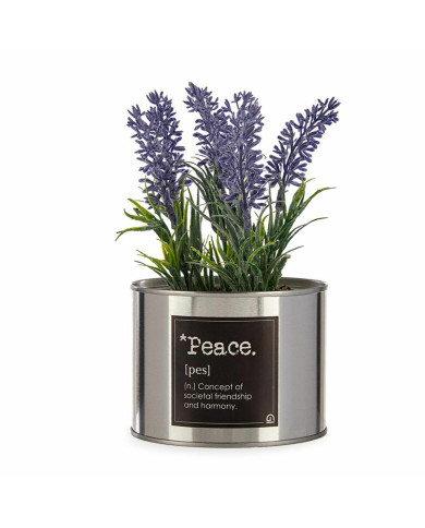 Decorative Plant Ibergarden Metal Plastic Can Lavendar 10 x 18 x 10 cm (6 Units)