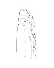 Branch Krist+ Silver Berries 100 x 3 x 5 cm (24 Units)