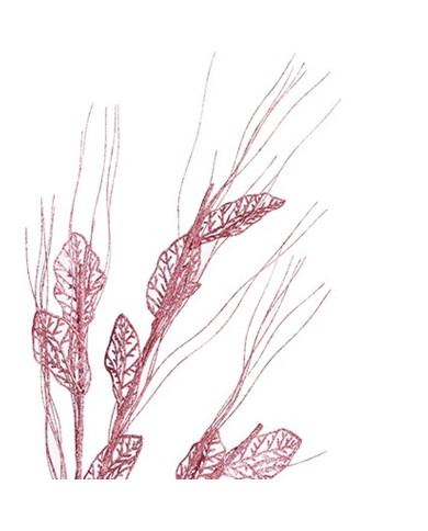 Branch Krist+ Pink 46 x 80 x 5 cm (12 Units)