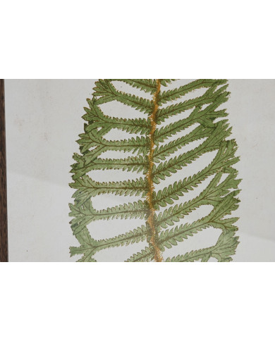 Painting Home ESPRIT Crystal Fir 45 x 2,5 x 70 cm