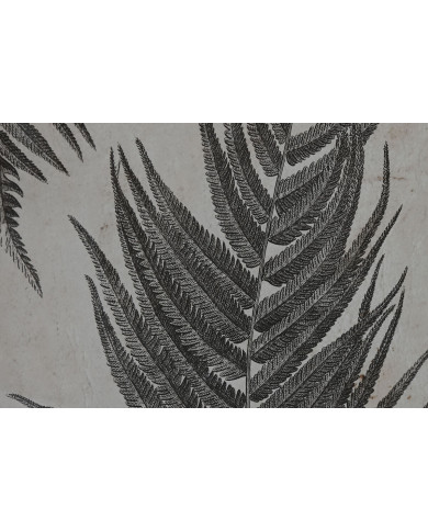 Painting Home ESPRIT Crystal Fir 50 x 3 x 70 cm 50 x 2,5 x 70 cm