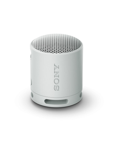 Portable Bluetooth Speakers Sony SRSXB100H.CE7 Grey