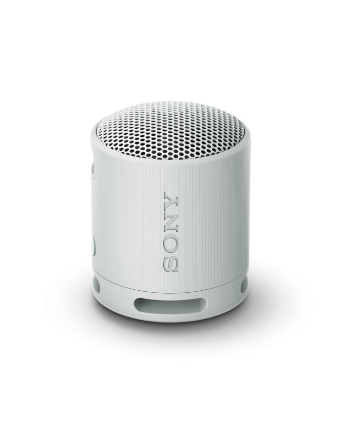 Portable Bluetooth Speakers Sony SRSXB100H.CE7 Grey