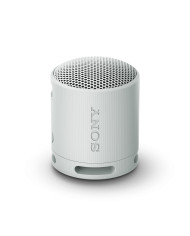 Portable Bluetooth Speakers Sony SRSXB100H.CE7 Grey