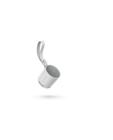 Portable Bluetooth Speakers Sony SRSXB100H.CE7 Grey