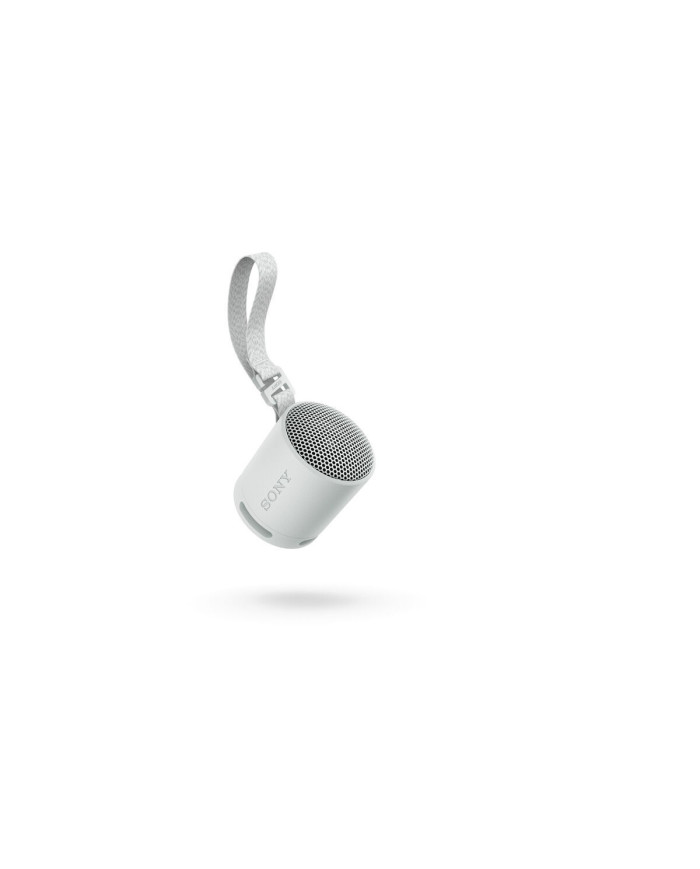 Portable Bluetooth Speakers Sony SRSXB100H.CE7 Grey