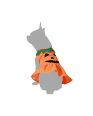 Dog Costume Pumpkin Size M