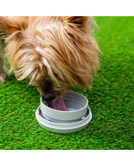 6-in-1 Retractable Dog Leash Leashic InnovaGoods