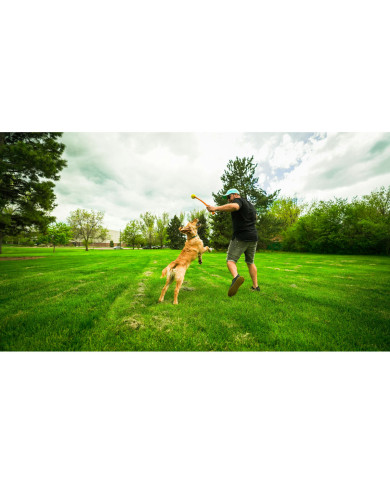 Ball Launcher for Dogs Hunter Yellow Orange Rubber Ball