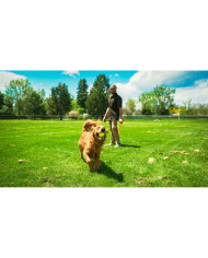 Ball Launcher for Dogs Hunter Yellow Orange Rubber Ball