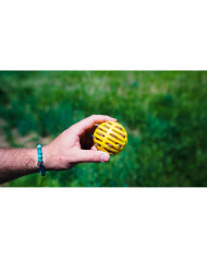 Ball Launcher for Dogs Hunter Yellow Orange Rubber Ball