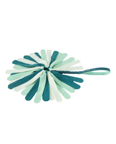 Dog toy Coachi PUPPY & MINI TUGGI SPIDER Green