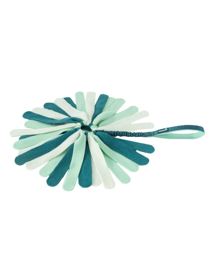 Dog toy Coachi PUPPY & MINI TUGGI SPIDER Green