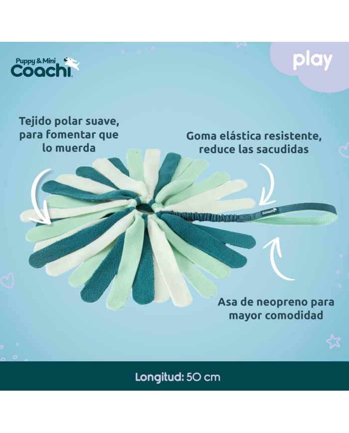 Dog toy Coachi PUPPY & MINI TUGGI SPIDER Green