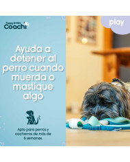 Dog toy Coachi PUPPY & MINI TUGGI SPIDER Green