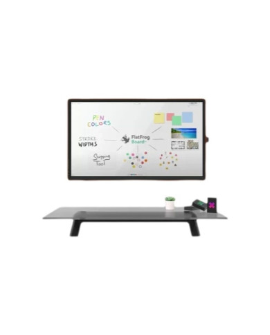 Digital pen CTOUCH CANVAS WRITER