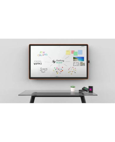 Digital pen CTOUCH CANVAS WRITER