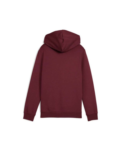 Hooded Sweatshirt for Girls Puma Essentials 2 Color No. 1 Maroon
