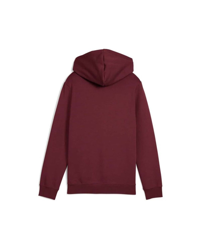 Hooded Sweatshirt for Girls Puma Essentials 2 Color No. 1 Maroon