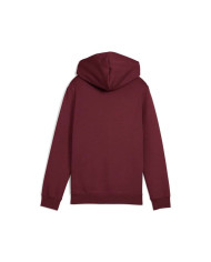 Hooded Sweatshirt for Girls Puma Essentials 2 Color No. 1 Maroon