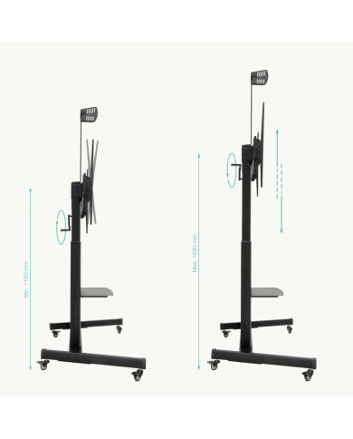 TV stand with wheels TooQ FS20406HM-B 60" 100" 120 kg 130 Kg (Refurbished A)
