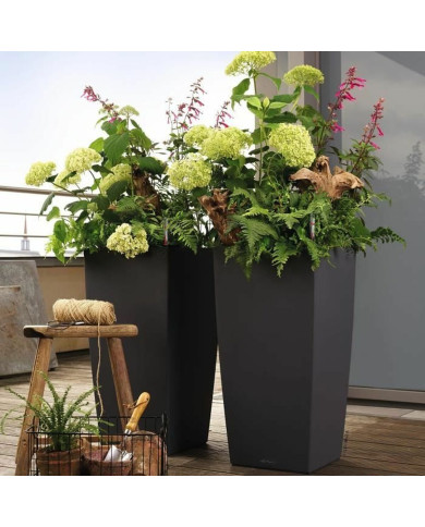 Planter Lechuza 13158 40 x 40 x 75 cm Board polypropylene Plastic Bucket