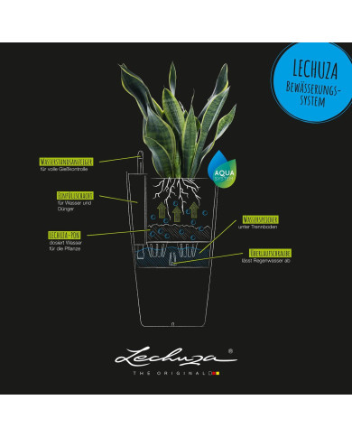 Planter Lechuza 13158 40 x 40 x 75 cm Board polypropylene Plastic Bucket