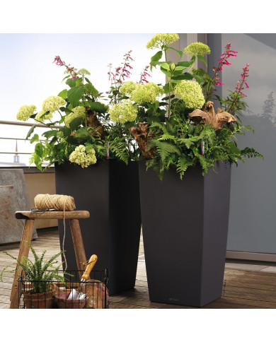 Planter Lechuza 13158 40 x 40 x 75 cm Board polypropylene Plastic Bucket