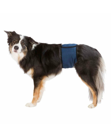 Incontinence Protector Trixie Male Plug Abdomen