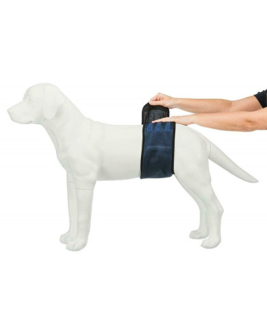 Incontinence Protector Trixie Male Plug Abdomen