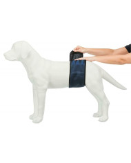 Incontinence Protector Trixie Male Plug Abdomen