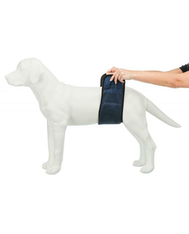 Incontinence Protector Trixie Male Plug Abdomen