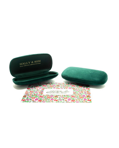 Unisex Sunglasses Hally & Son HS004S02