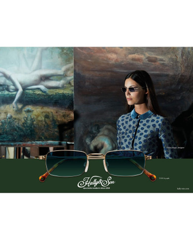 Unisex Sunglasses Hally & Son HS004S02