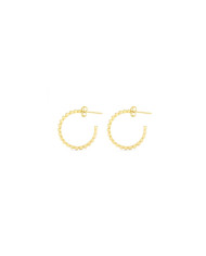 Ladies' Earrings Radiant RY000016