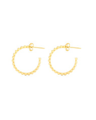 Ladies' Earrings Radiant RY000016