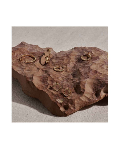 Ladies' Earrings Radiant RY000016