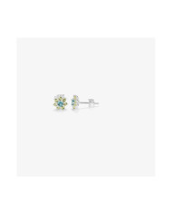 Ladies' Earrings Radiant RY000109