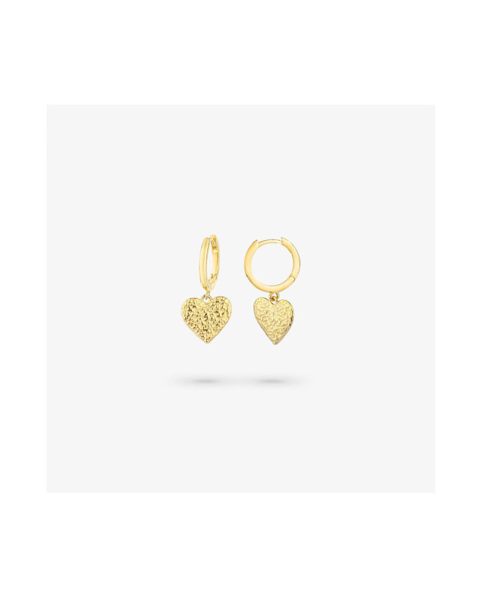 Ladies' Earrings Radiant RY000107
