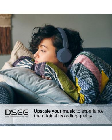 Headphones Sony WH-CH520