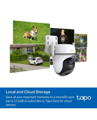 Surveillance Camcorder TP-Link TC43