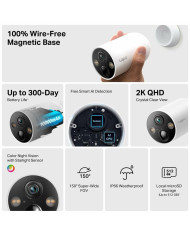 Surveillance Camera TP-Link TAPO C425