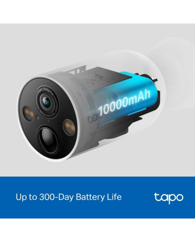 Surveillance Camera TP-Link TAPO C425