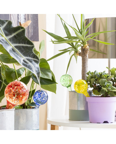 Automatic Watering Globes Ballwooters InnovaGoods 4 Units