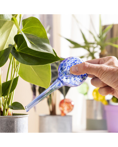Automatic Watering Globes Ballwooters InnovaGoods 4 Units